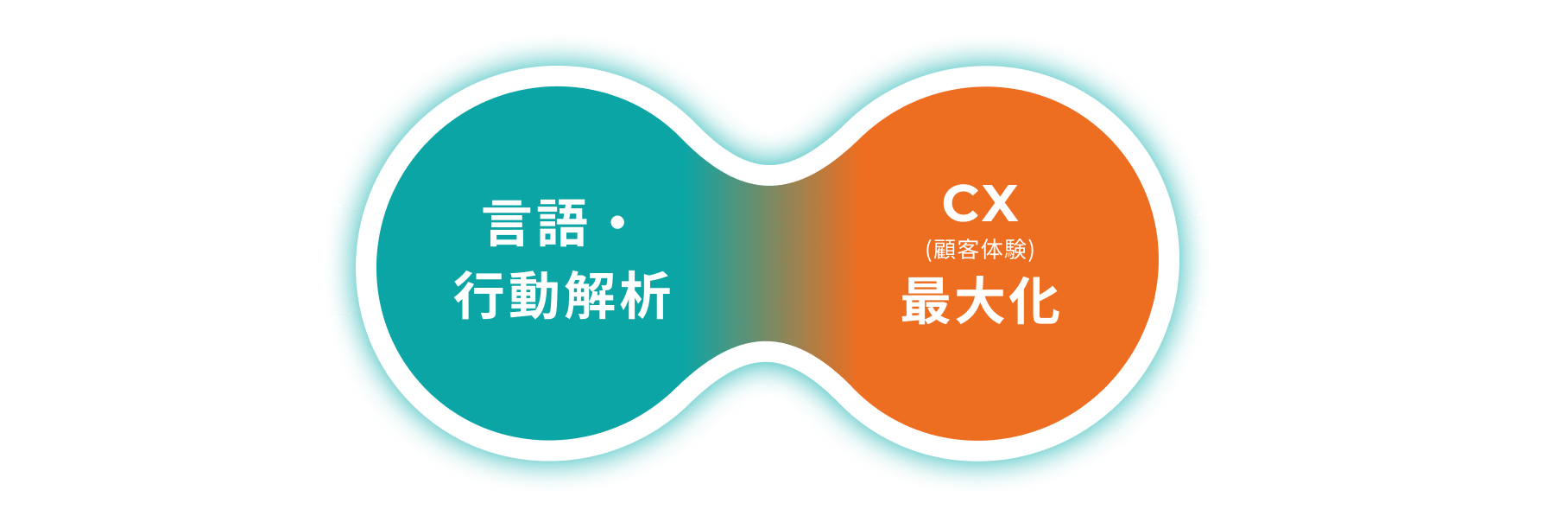 言語・行動解析、CX（顧客体験）最大化